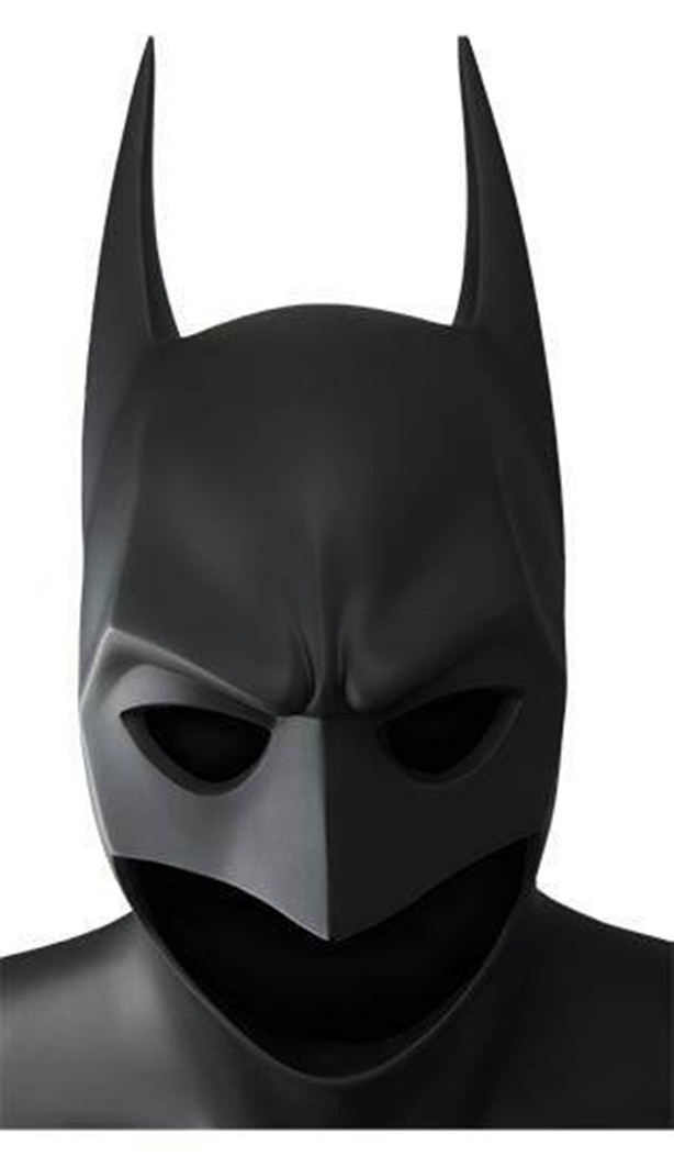 1979736_778598802165409_1827414325_n