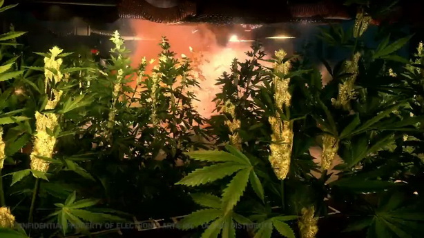 Battlefield 5  Hardline (6)