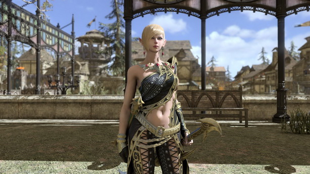 Kingdom Under Fire II  (17)