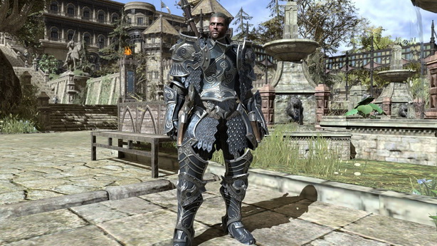 Kingdom Under Fire II  (19)