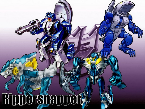 Transformers Decepticon Character  (46)