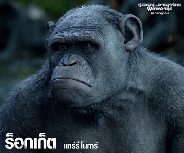 Dawn of the Planet of the Apes (11)