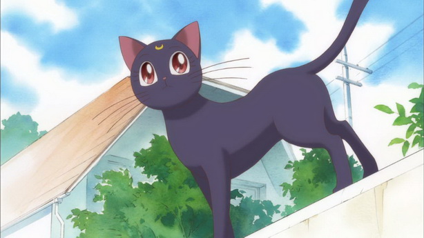 Pretty Guardian Sailor Moon Crystal (16)