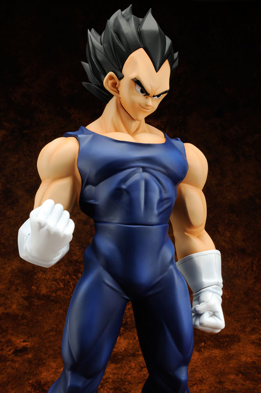 Vegeta X-Plus (5)