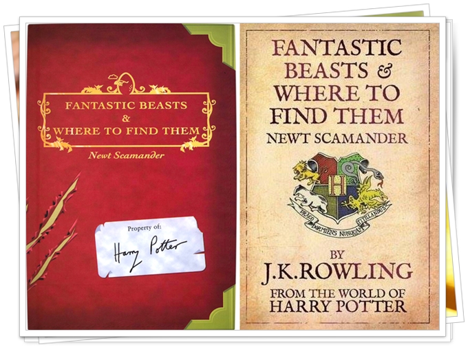Fantastic Beasts and Where to Find Them (14)
