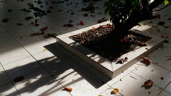 Photo by ASUS Zenfone 2 Laser (ZE551KL) (11)