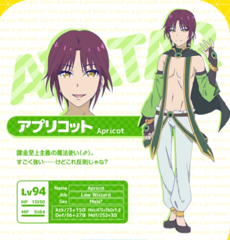 Netoge_no_Yome_wa_Onnanoko_ja_Nai_to_Omotta_13