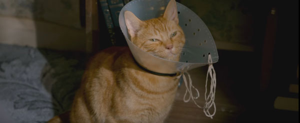 A-Street-Cat-Named-Bob-(14)