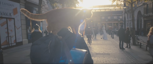 A Street Cat Named Bob (28)