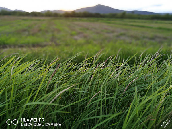 Huawei-P9-review-(11)