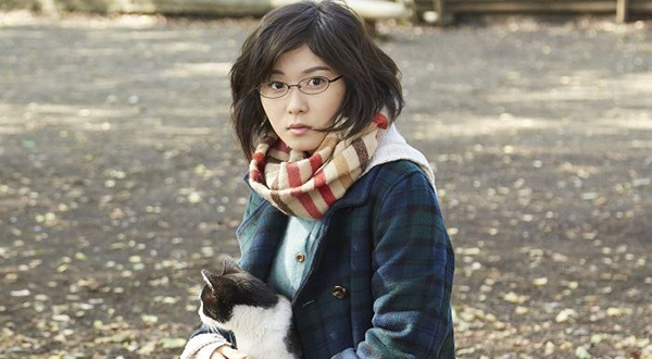 Cats-don't-when-you-call-(4)