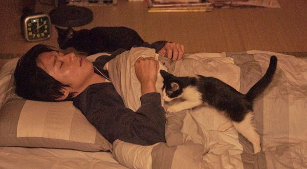 Cats-don't-when-you-call-(5)