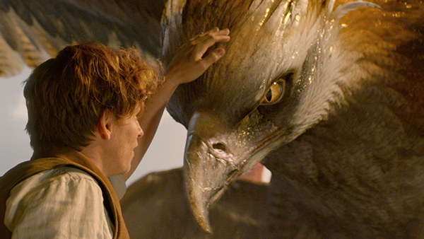 fantasticbeaststhebeasts5