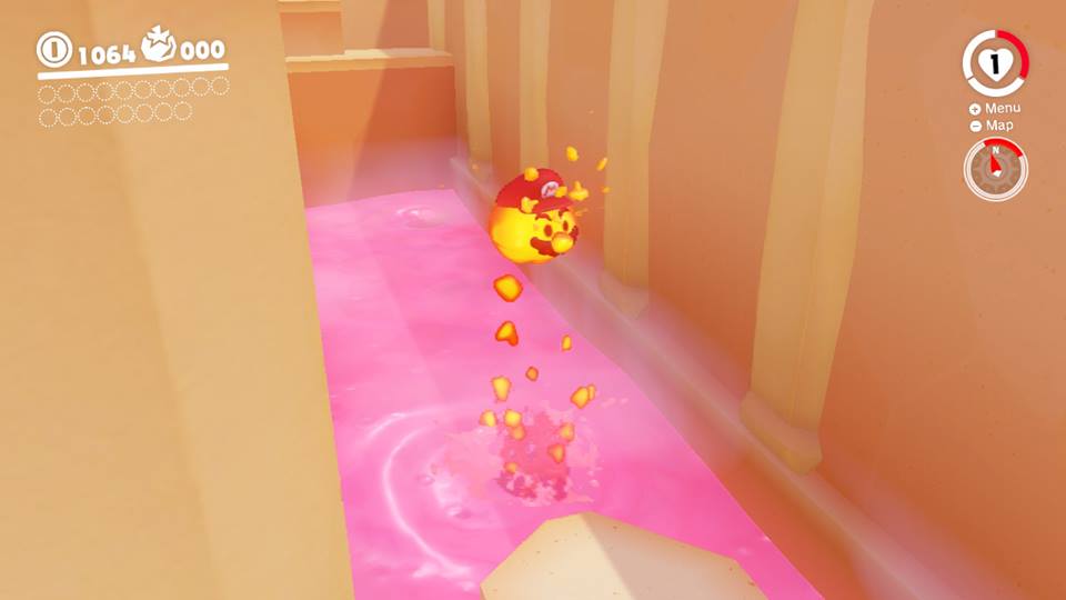 23032672_1318576821586282_4794658031277171906_n