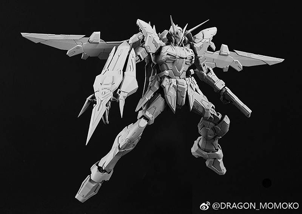 Testament momoko (9)