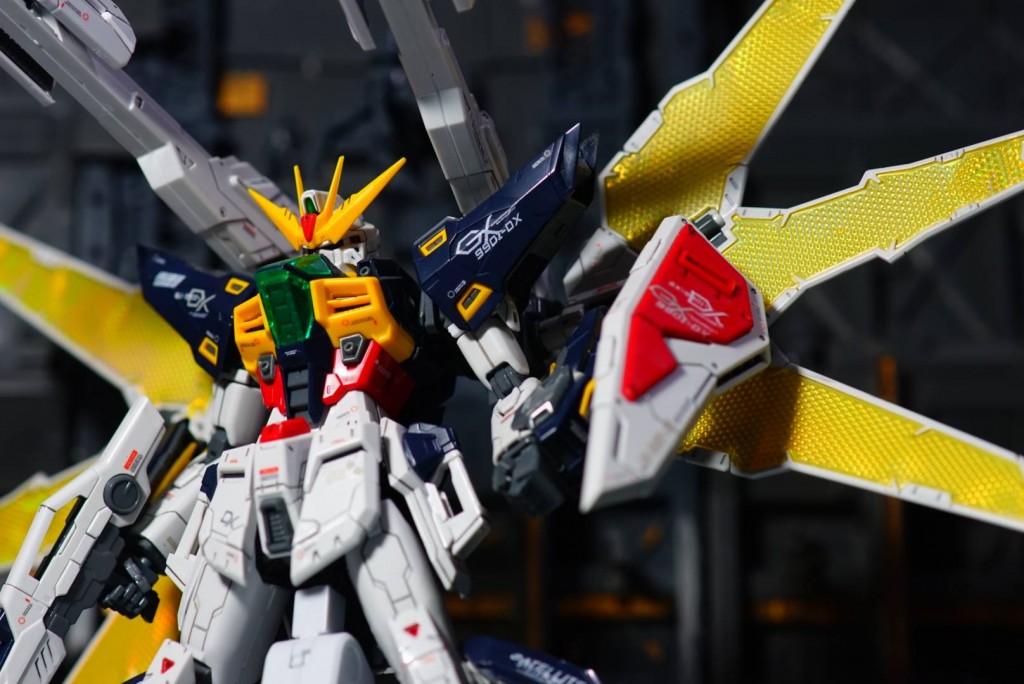 19648259_1479873372055580_2029150199_o