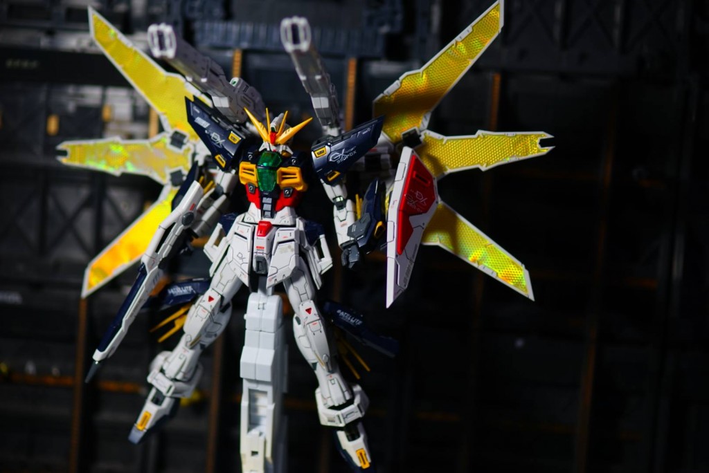 19648304_1479873232055594_704260085_o