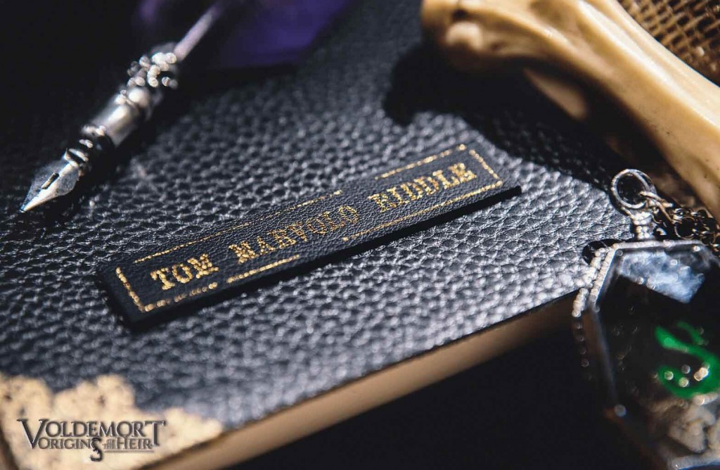 Voldemort_Origins_of_the_Heir_10