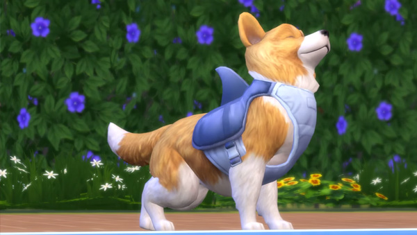 The Sims 4 Cats & Dogs pic 12