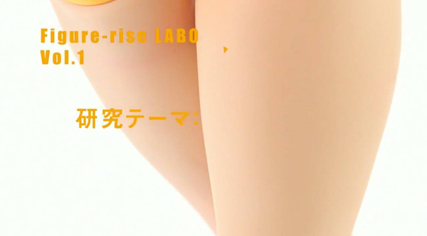 Figure Rise LABO Fumina (6)