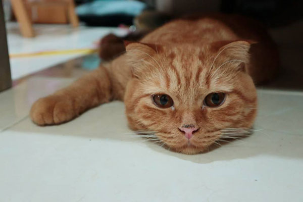 canon eos m100 photo (3)