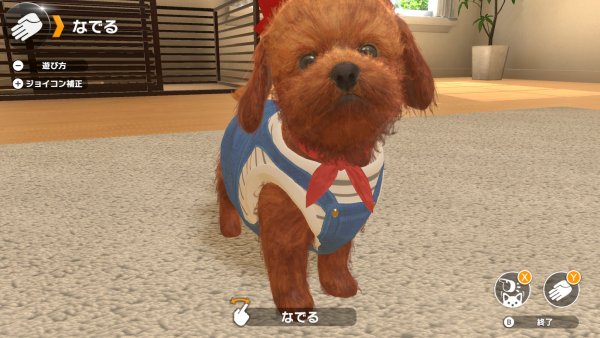 Little-Friends-Dogs-and-Cats_2018_10-01-18_008