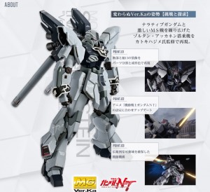 [ Gunpla] MG Sinanju Stein Narrative Ver.   (2)