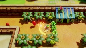 Legend_of_Zelda__Link's_Awakening Remake (3)
