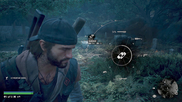 Days Gone Review (21)