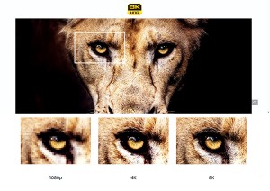 Sony - BRAVIA - Z9G_ZG9 Series - MASTER Series 8K HDR TV (15)