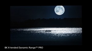 Sony - BRAVIA - Z9G_ZG9 Series - MASTER Series 8K HDR TV (17)