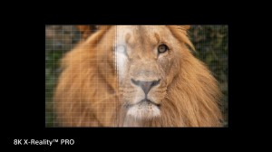 Sony - BRAVIA - Z9G_ZG9 Series - MASTER Series 8K HDR TV (5)