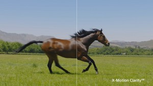 Sony - BRAVIA - Z9G_ZG9 Series - MASTER Series 8K HDR TV (8)