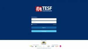 5 game seagames 2019 (4)