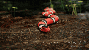 AWAY The Survival Series (6)