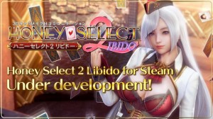 honey-select-2-libido-pc-illusion-download