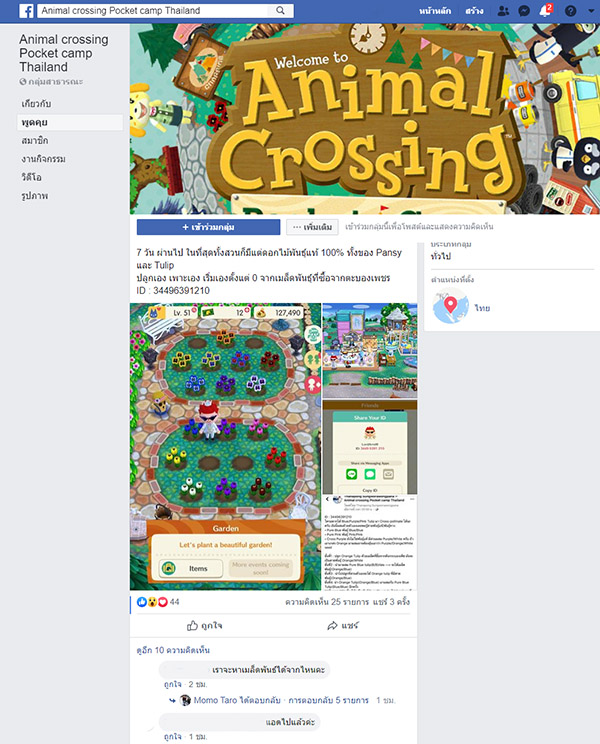 Animal Crossing  Pocket Camp (9)
