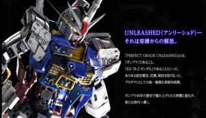1-60-perfect-grade-unleashed-rx-78-2-gundam 07-10-2020 (5)