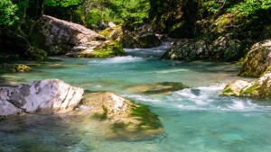 Fuuraiki-4_2020 (11)