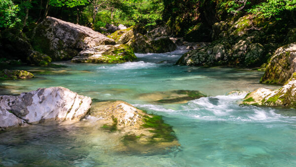 Fuuraiki-4_2020 (11)