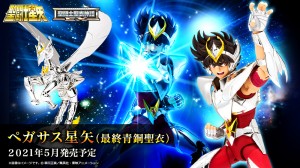 Saint Cloth Myth EX  PEGASUS SEIYA (10)