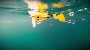 pokemon-fishing-duo-backdoorproject (4)