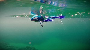 pokemon-fishing-duo-backdoorproject (6)