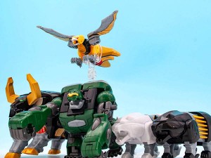 shokugan-modeling-project-gaomuscle 17 06 2021 (1)