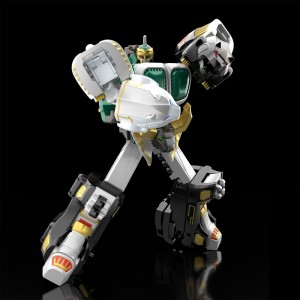 shokugan-modeling-project-gaomuscle (29)