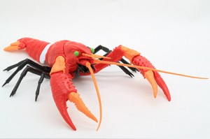 biology-edition-crayfish-evangelion-edition (9)