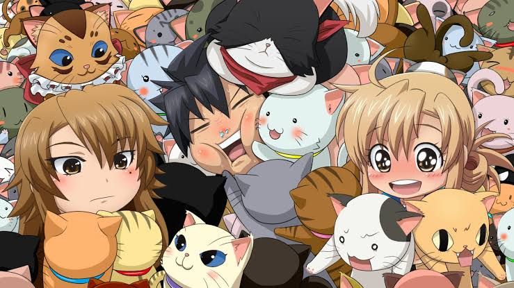 10-cat-anime (6)