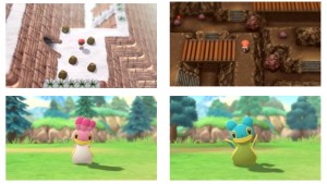 pokemon_brilliant_diamond_shining_pear (17)