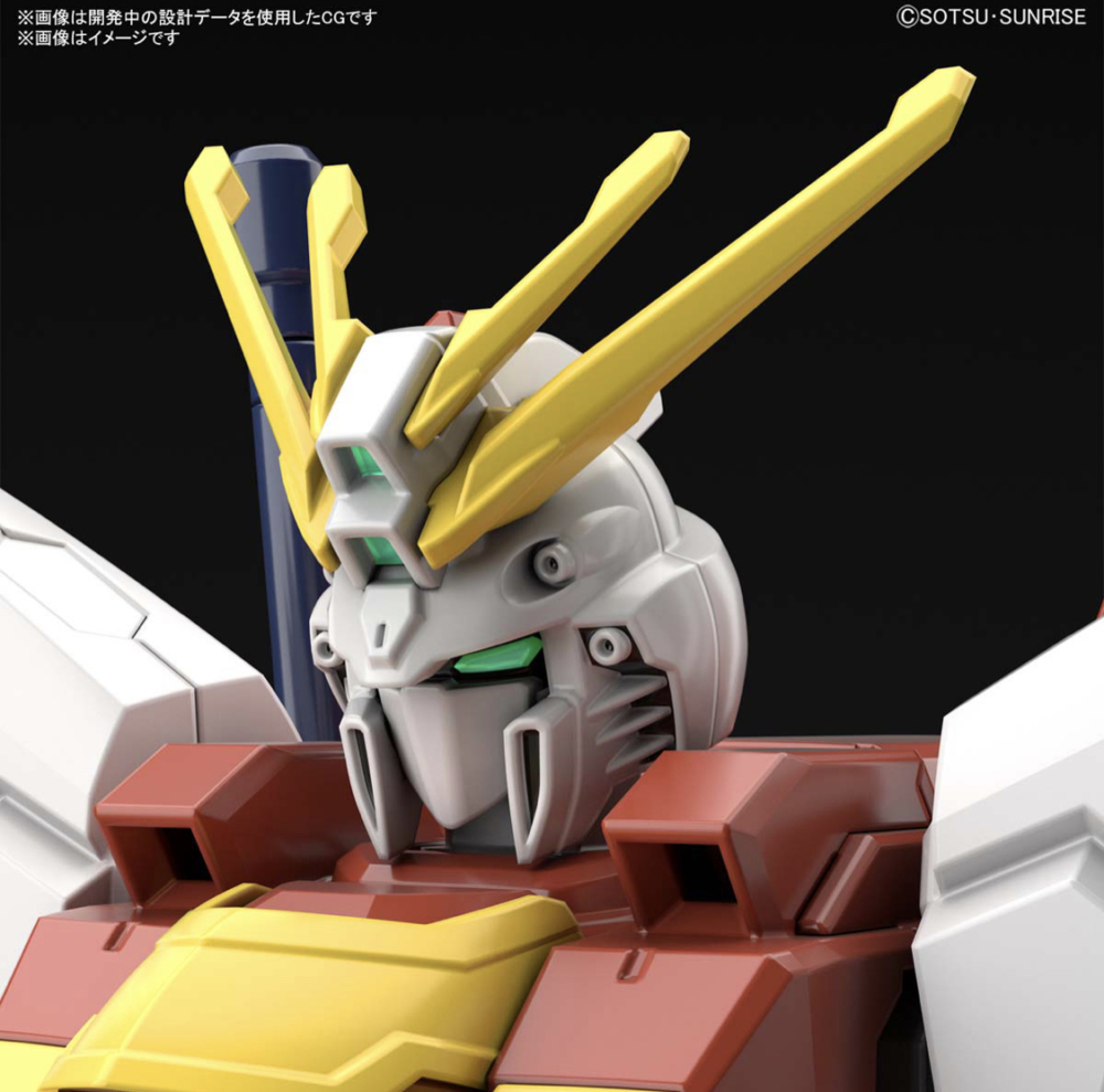 BLAZING GUNDAM (5)