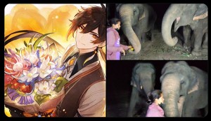 genshin-impact-fans-donate-for-thai-elephant1